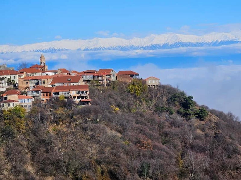 One-day tour in Kakheti with a guide and free wine tasting - Practical Considerations