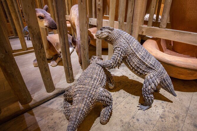 One Day Tour Nashville To Ark Encounter - What We Think Are the Pros and Cons