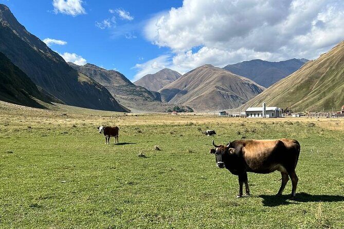 One-day tour to the Magnificent Kazbegi - Who Will Love This Experience?