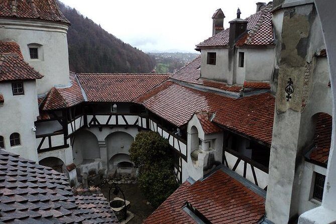 One day trip Bear Sanctuary, Dracula Castle, Rasnov Fortress from Brasov - Who Would Love This Tour?