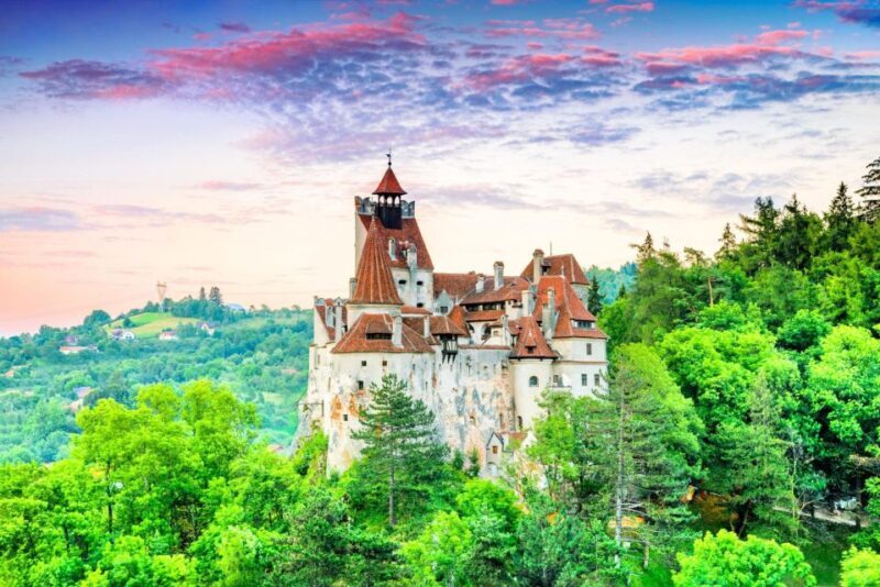 One day trip Bear Sanctuary, Dracula Castle - An In-Depth Look at the Tour