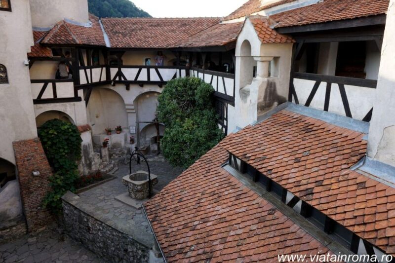 One day trip Bear Sanctuary, Dracula Castle - FAQ: Common Questions About the Tour