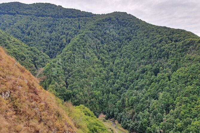 One-Day Vlad the Impaler Royal Court Private Tour from Bucharest - End with Vidraru Dam