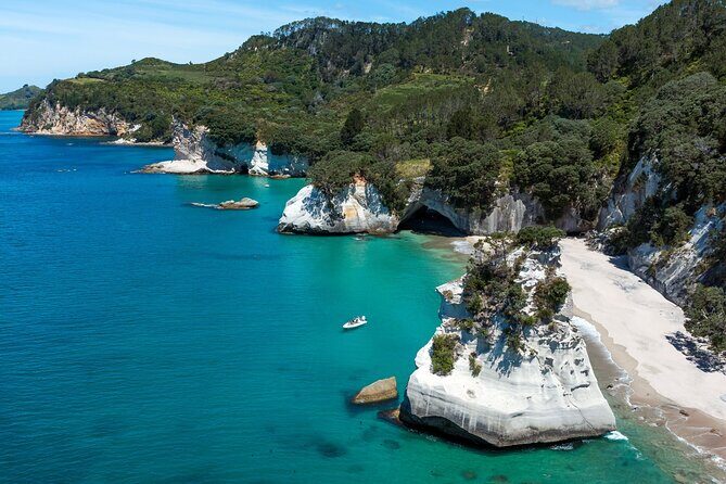 One Hour Cathedral Cove Boat Tour in Hahei - What to Expect on the Tour