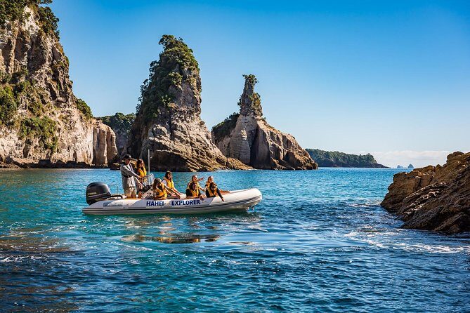 One Hour Cathedral Cove Boat Tour in Hahei - FAQ