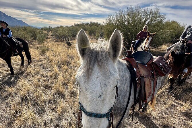 One Hour Guided Horseback Ride - Who Should Consider This Experience?