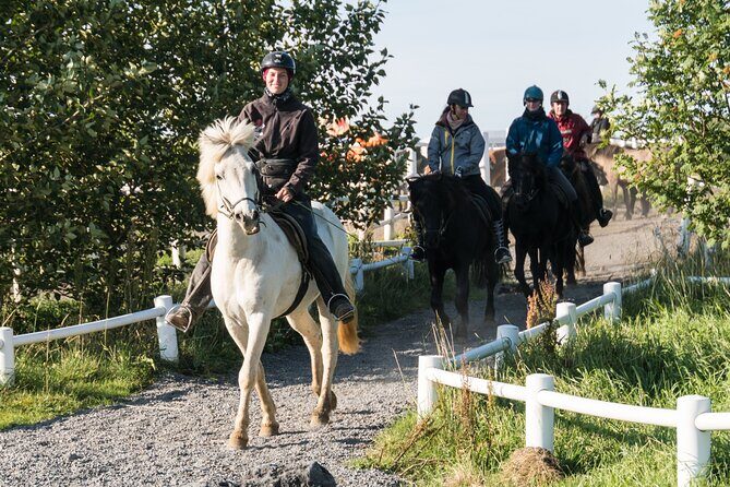 One-Hour Horseback Riding Tour in the Icelandic Countryside - Key Points