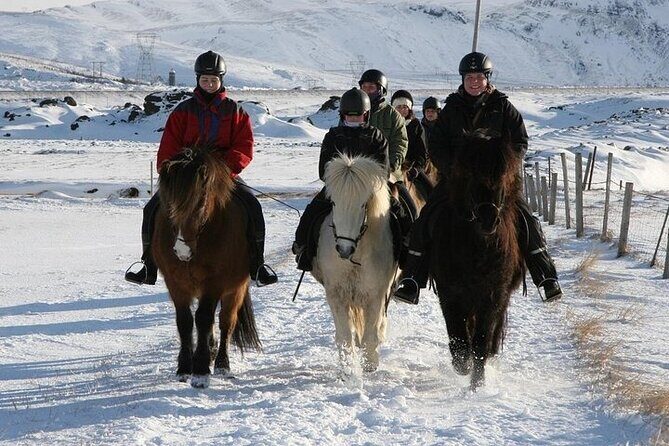 One-Hour Horseback Riding Tour in the Icelandic Countryside - Who Is This Tour Best For?