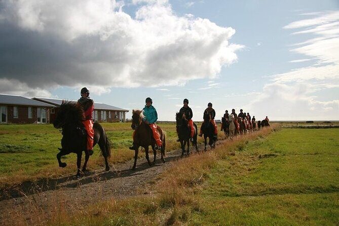 One-Hour Horseback Riding Tour in the Icelandic Countryside - Final Thoughts