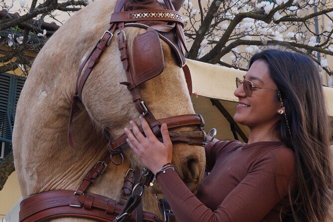 One-hour tour through the historic center and half Renaissance walls - Exploring Lucca in Style: A Detailed Look at the One-Hour Carriage Tour