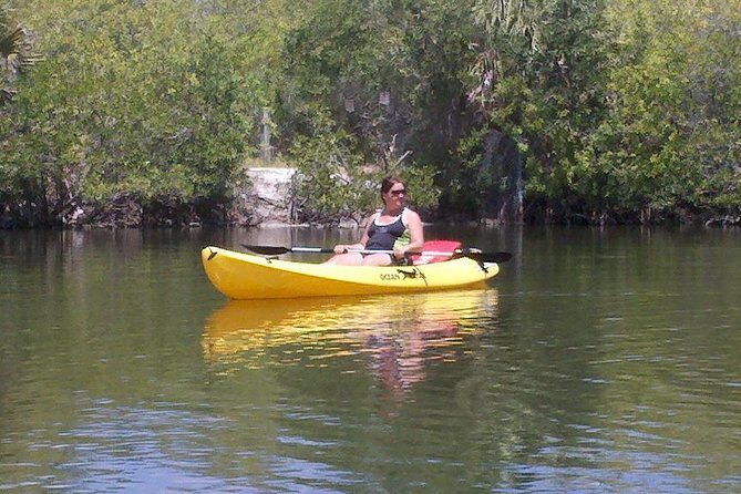 One Single Kayak Rental for 2 hours with Manatee & Dolphin sightings! - Why Consider the Price?