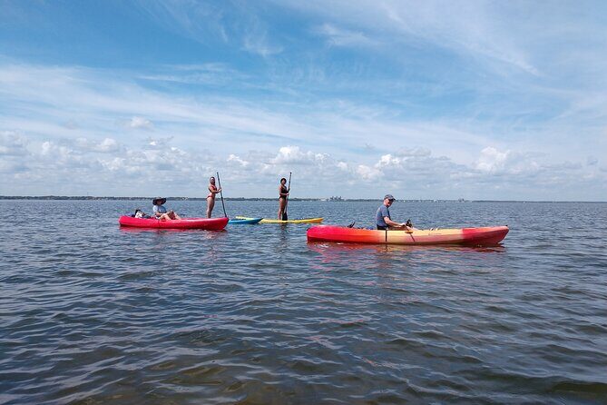 One Single Kayak Rental for 2 hours with Manatee & Dolphin sightings! - Final Thoughts
