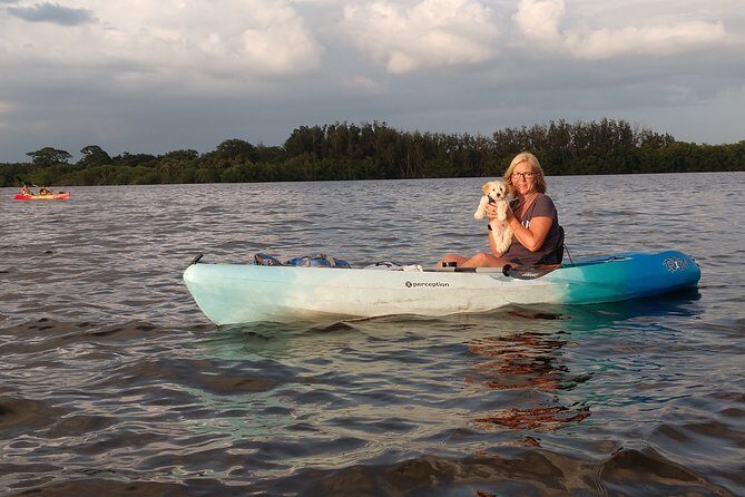 One Tandem Kayak Rental for 2 hours with Manatee & Dolphin sightings! - The Experience on the Water