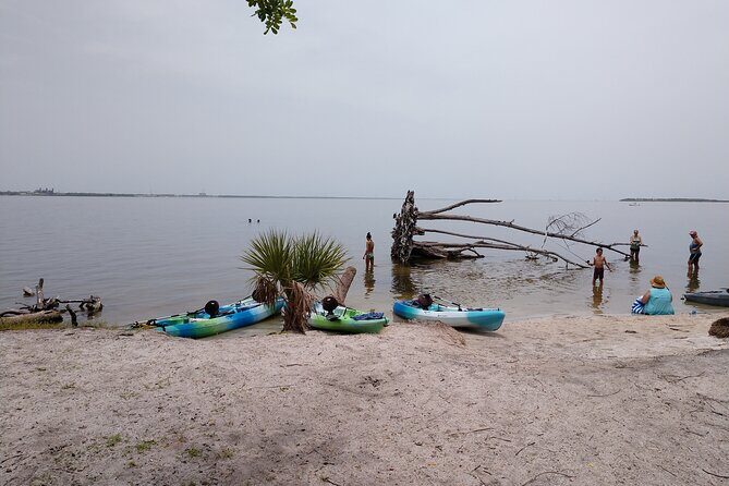 One Tandem Kayak Rental for 2 hours with Manatee & Dolphin sightings! - Final Thoughts