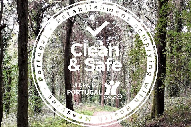 One Way Lisbon to Porto, through Obidos, Nazare, Alcobaca and Aveiro - Practicalities and What Travelers Should Know