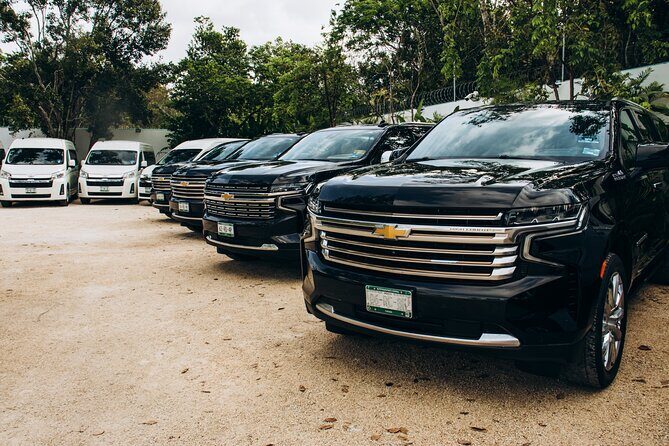 One Way Private Transfer Cancun Int Airport-Cancun Hotel Zone - Key Points