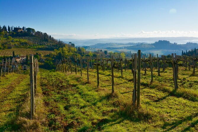 One Way Private Transfer: Florence to Rome with Visit to San Gimignano and Siena - Who Is This Tour Best For?