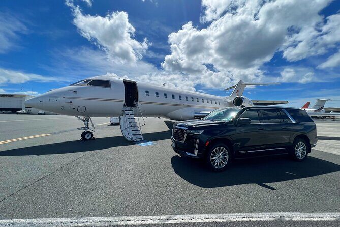 One-Way VIP Transfer: Honolulu Airport, Ko Olina, Cruise Port - The Experience: What to Expect from Your VIP Transfer