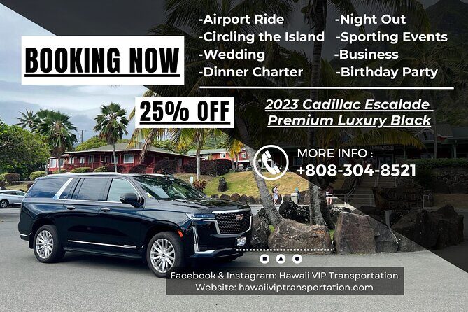 One-Way VIP Transfer: Honolulu Airport, Waikiki, Cruise Port - Price and Value Breakdown