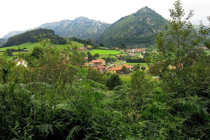 One Week Spanish Course At Your Tutor's Home In The North Of Spain - What to Expect from the Spanish Home Stay Course