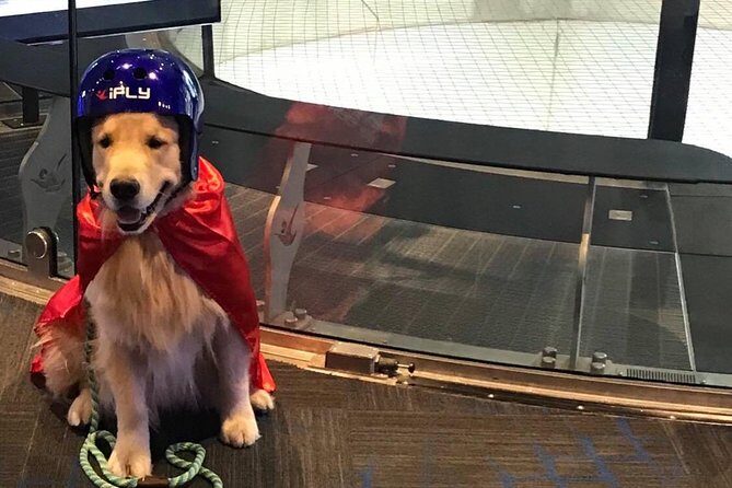 Ontario Indoor Skydiving Experience with 2 Flights & Personalized Certificate - What to Expect on the Day