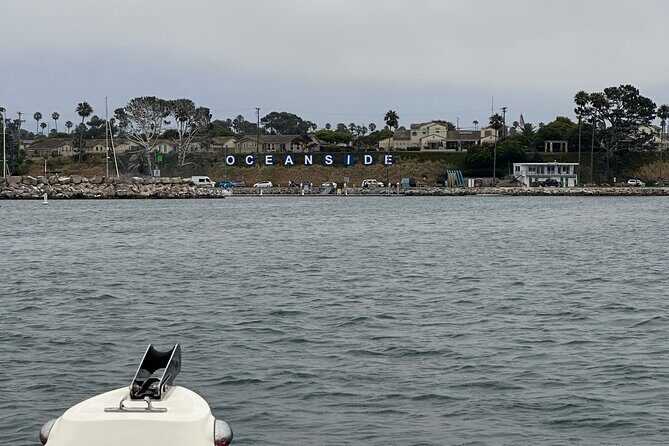 Open Boat Whale Watching - Final Thoughts: Who Should Book This Tour?