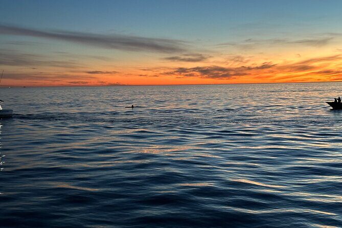 Open Boat Whale Watching - FAQs