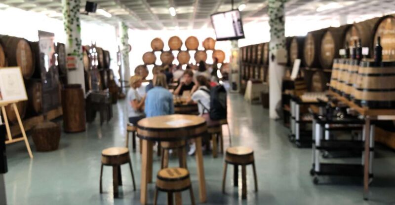 Open Roof Jeep Tour with Madeira Wine Tasting - Final Thoughts: Who Is This Tour Best For?