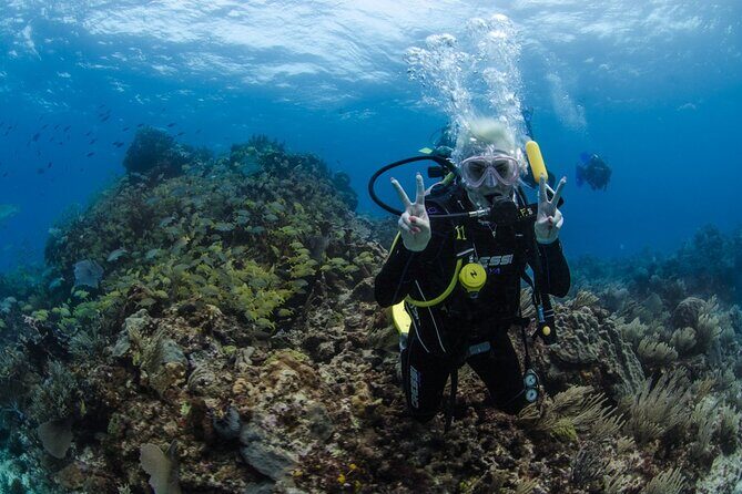 Open Water course Isla Mujeres - Key Points