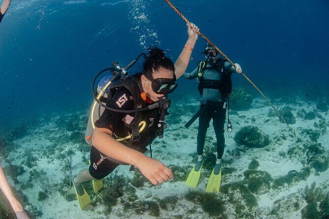 Open Water course Isla Mujeres - Why Choose the Isla Mujeres Open Water Course?