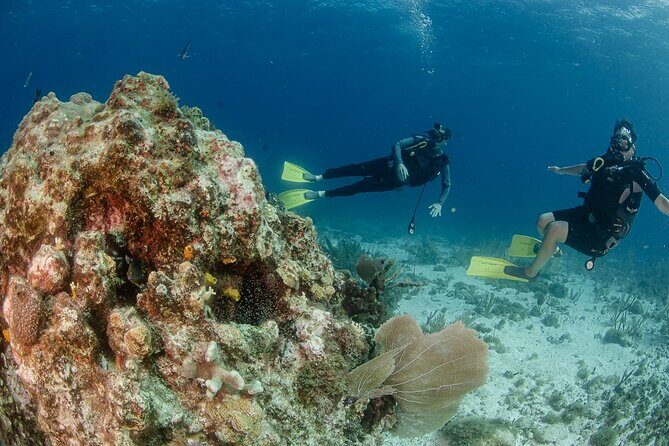 Open Water course Isla Mujeres - The Logistics: Meeting, Timing, and Group Size