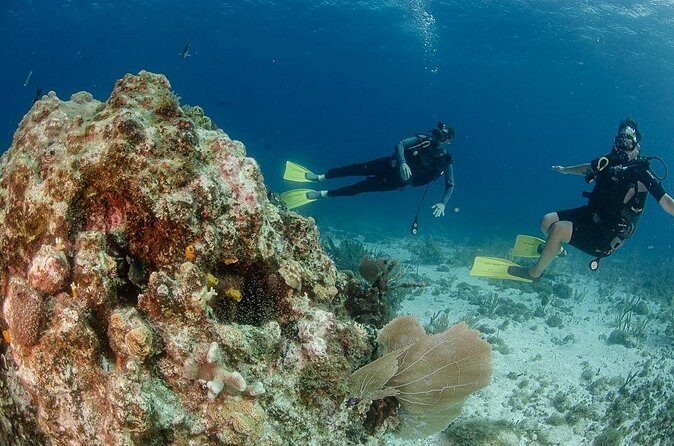 Open Water course Isla Mujeres - FAQs