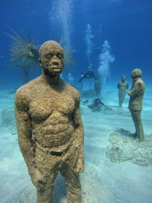 Open Water Course Scuba Diving - The Dives in the Open Water