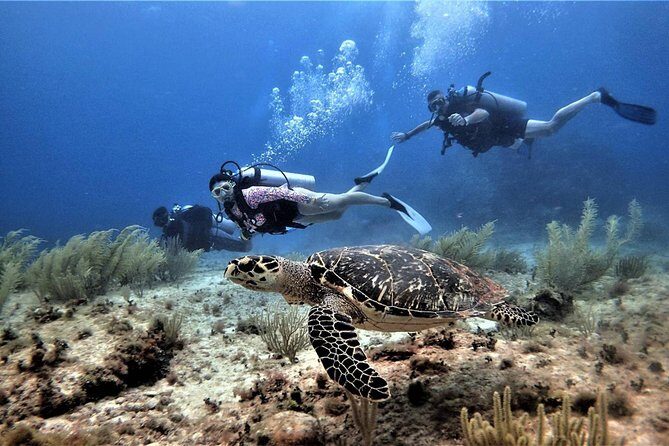 Open Water Diver course PADI in Cancun - FAQ