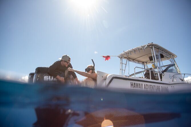 Open Water Shark Dive - Who Will Love This?