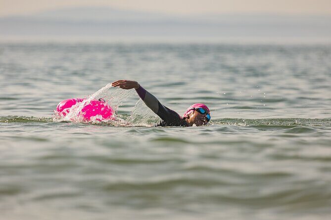 Open-Water Swimming in Cascais - A Real Look at the Review Highlights
