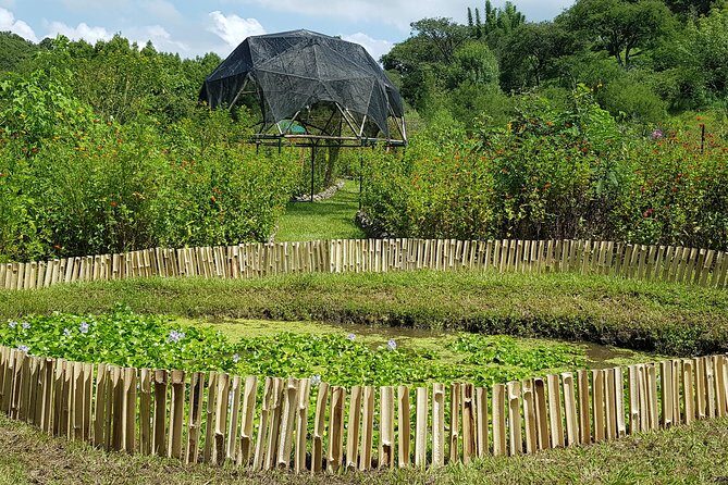 Openwork butterfly garden - Discovering the Openwork Butterfly Garden in Central Mexico
