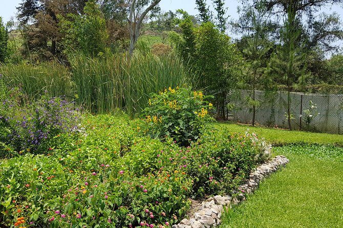 Openwork butterfly garden - What to Expect at the Openwork Butterfly Garden