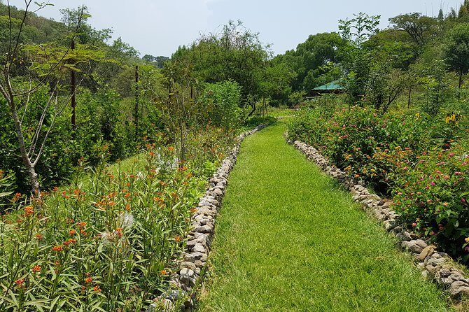 Openwork butterfly garden - FAQs