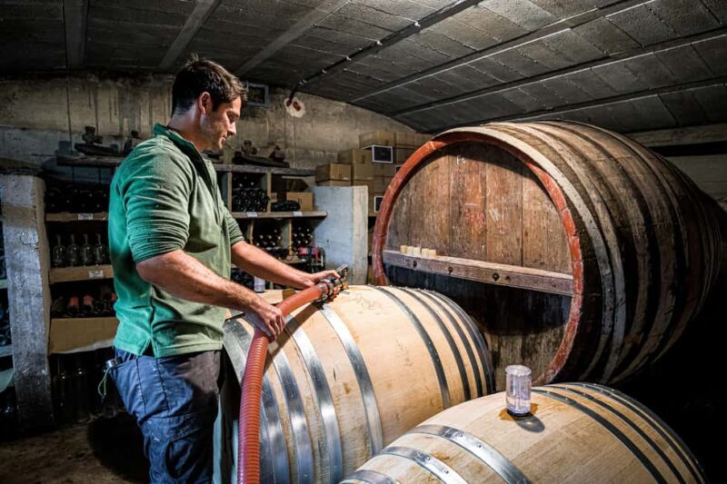 Oppède: Olive Oil Museum Visit - Key Points