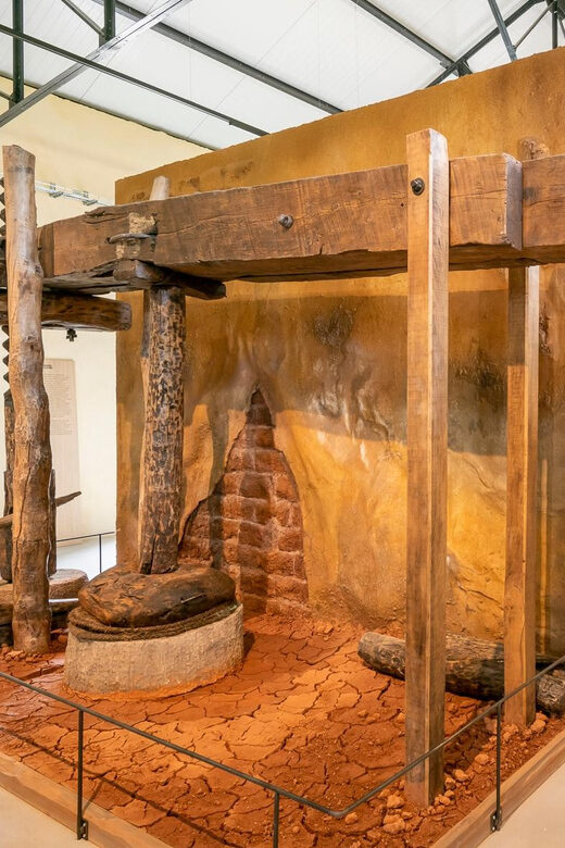 Oppède: Olive Oil Museum Visit - Logistics and Practicalities