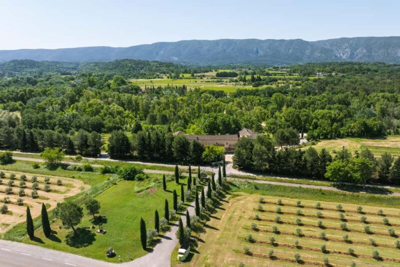 Oppède: Secrets of a Provencal mill in the heart of the Luberon - Discovering the Domaine du Moulin Saint Augustin