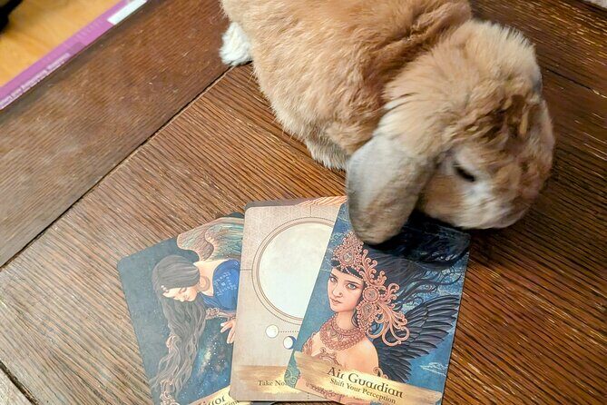 Oracle of St. Augustine, Messages from the Universe. - Is This Tour Right for You?