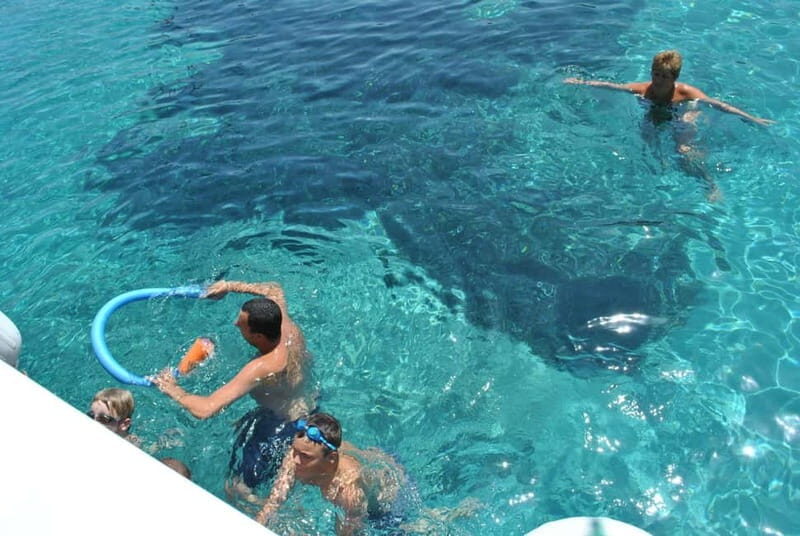 Orak island Boat Trip Bodrum - Final Thoughts