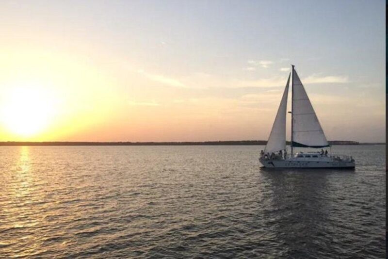 Orange Beach: Dolphin & Sailing Cruise Aboard 52' Catamaran - Pricing and Value