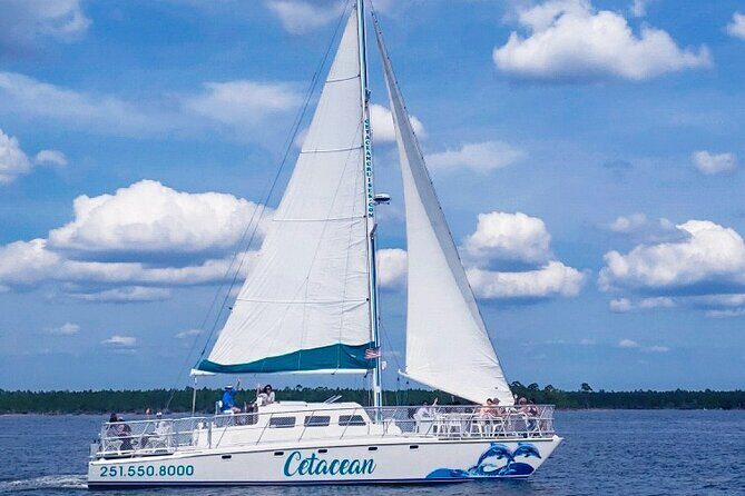 Orange Beach Dolphin Sailing Cruise aboard Catamaran - The Experience: What to Expect on the Cruise