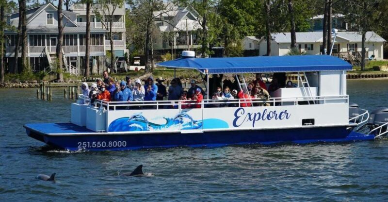 Orange Beach: Dolphin-Watching Eco-Boat Tour - Key Points