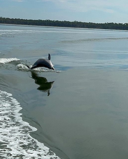Orange Beach: Dolphin-Watching Eco-Boat Tour - In-Depth Breakdown of the Tour Experience