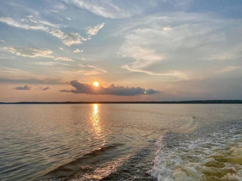 Orange Beach: Sunset Sailing Cruise Aboard The Cetacean - Key Points