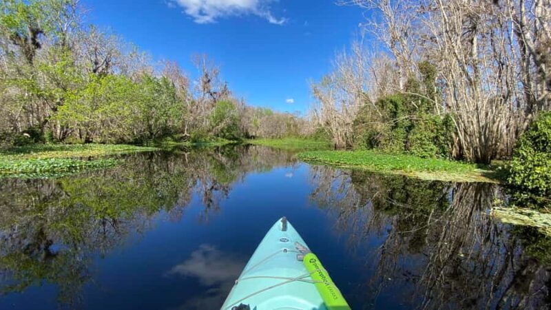 Orange City: Blue Spring State Park Guided Kayak Tour - Key Points
